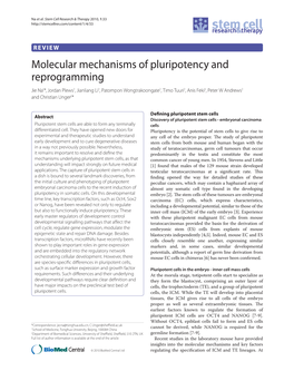 Molecular Mechanisms of Pluripotency and Reprogramming