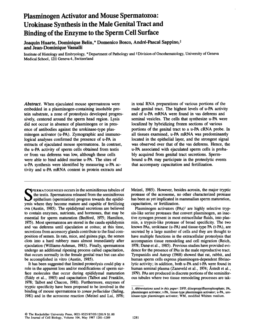 Plasminogen Activator and Mouse Spermatozoa