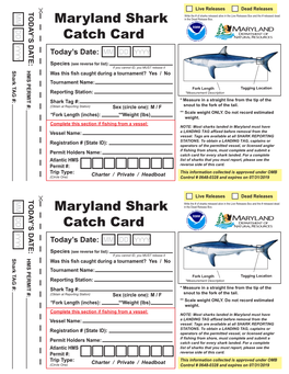 MD Shark Catch Card