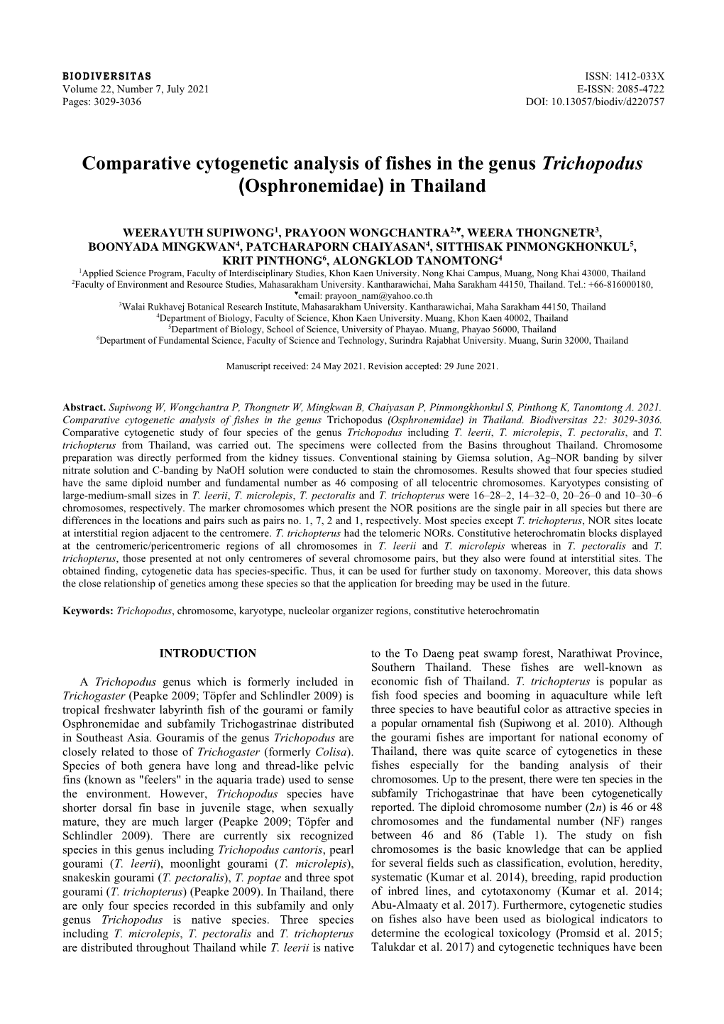 Comparative Cytogenetic Analysis of Fishes in the Genus Trichopodus (Osphronemidae) in Thailand