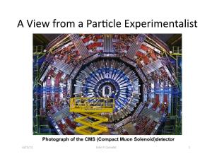 A View from a Paracle Experimentalist