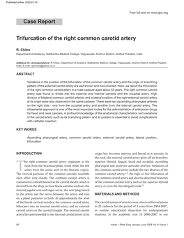 Trifurcation of the Right Common Carotid Artery Case Report