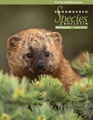 Endangered Species Bulletin Contains Selections from Our Three 2008 On-Line Editions