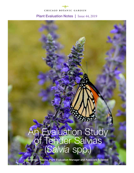 An Evaluation Study of Tender Salvias (Salvia Spp.)