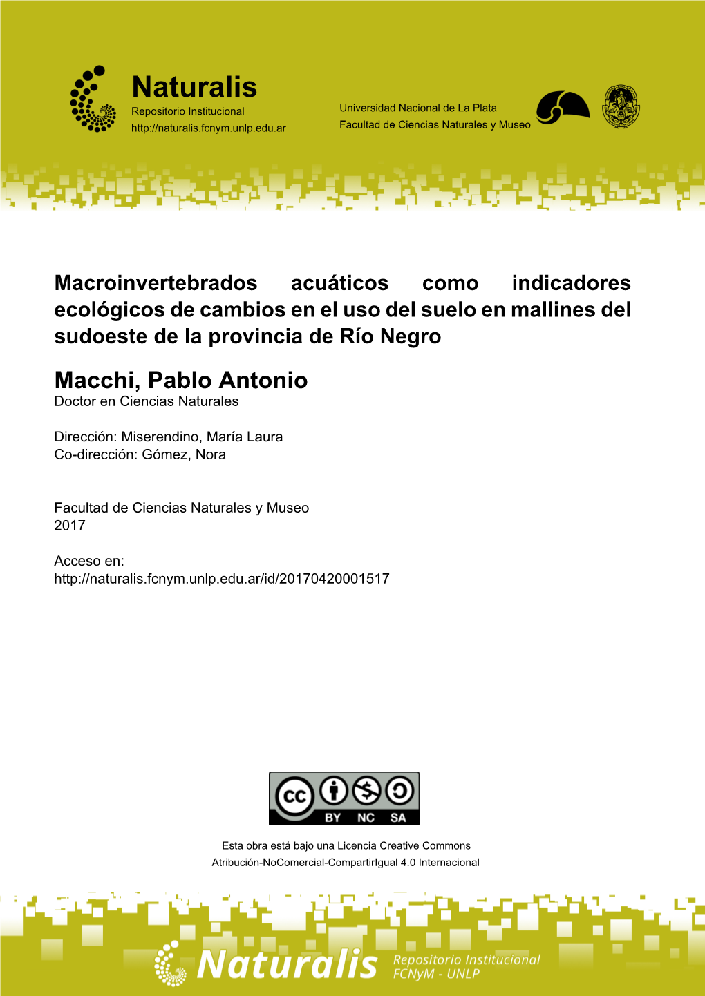 Lic. Pablo Antonio Macchi Trabajo De Tesis Para Optar Al Título De Doctor En Ciencias Naturales