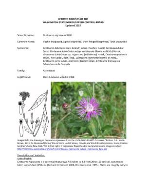 Centaurea Nigrescens Willd