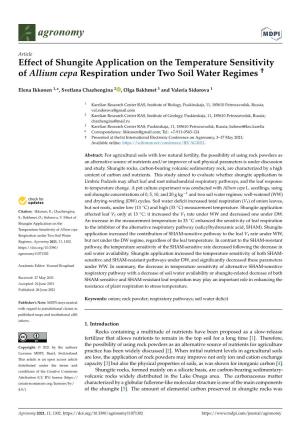 Effect of Shungite Application on the Temperature Sensitivity of Allium Cepa Respiration Under Two Soil Water Regimes †