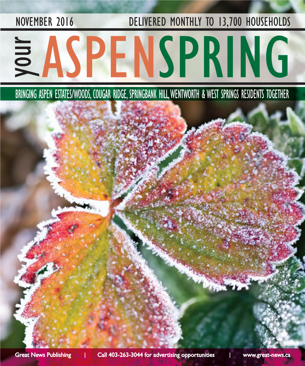 Aspen Spring