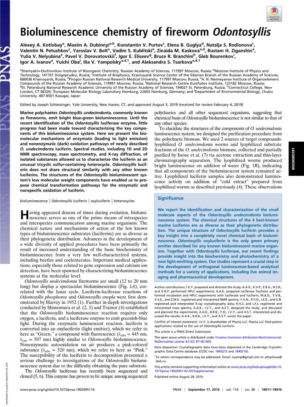 Bioluminescence Chemistry of Fireworm Odontosyllis