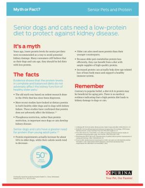 Senior Dogs and Cats Need a Low-Protein Diet to Protect Against Kidney Disease