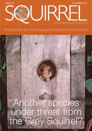 Another Species Under Threat from the Grey Squirrel? ESI Newsletter Issue 29 Layout 1 27/10/2014 15:34 Page 3