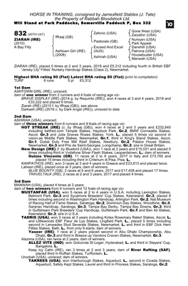 HORSE in TRAINING, Consigned by Jamesfield Stables (J