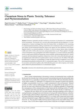 Chromium Stress in Plants: Toxicity, Tolerance and Phytoremediation