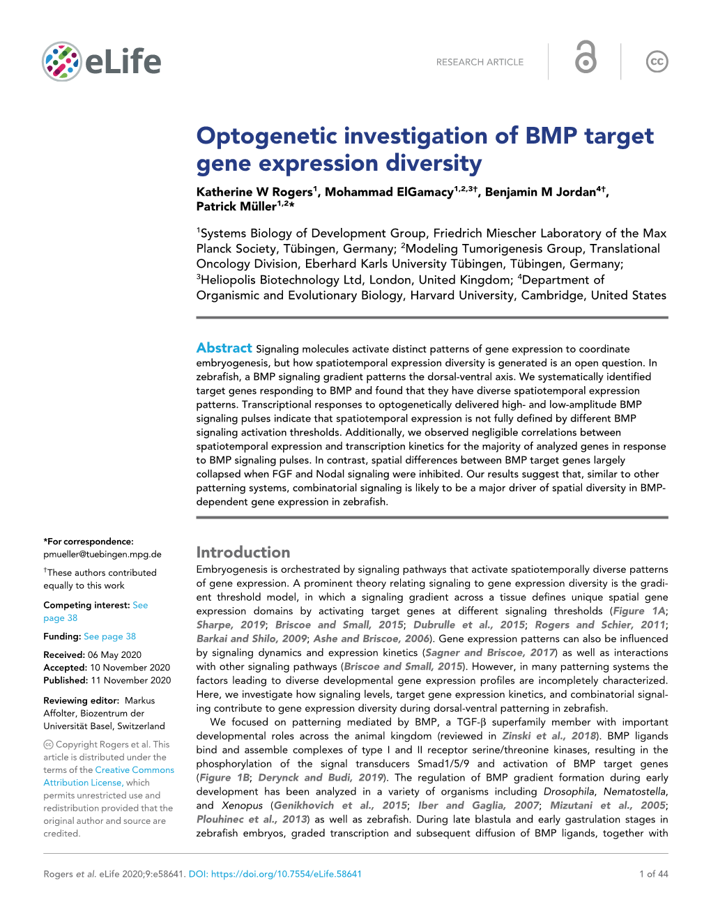Optogenetic Investigation of BMP Target Gene Expression Diversity Katherine W Rogers1, Mohammad Elgamacy1,2,3†, Benjamin M Jordan4†, Patrick Mu¨ Ller1,2*