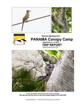 PANAMA Canopy Camp September 4 - 9, 2016 TRIP REPORT Report & Photos by Luke Tiller