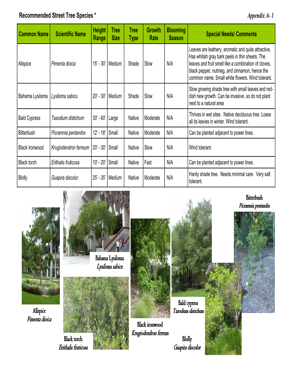 Street Tree Master Plan Tree List Feb12007