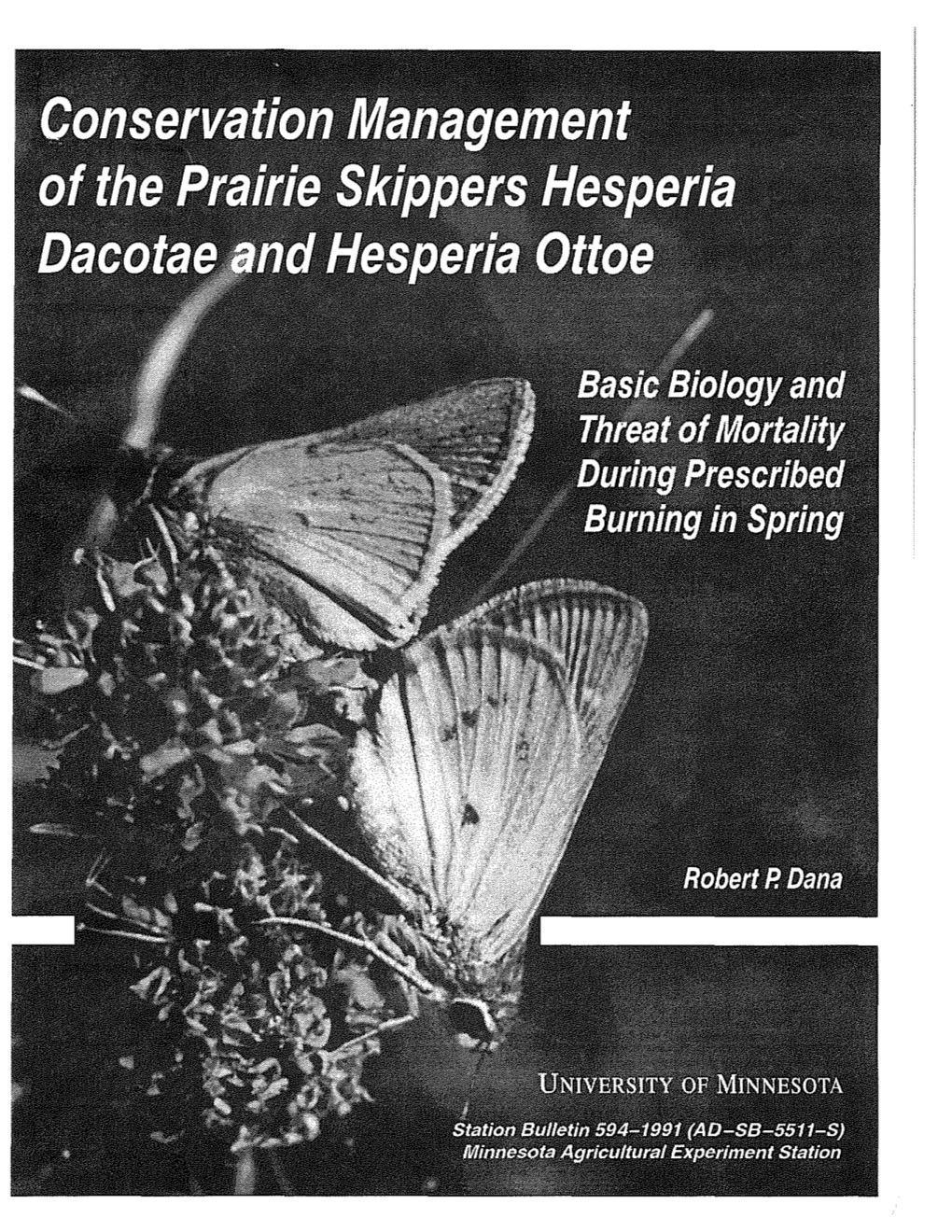 Hesperia Ottoe Basic Biology and Threat of Mortality During Prescribed Burning in Spring