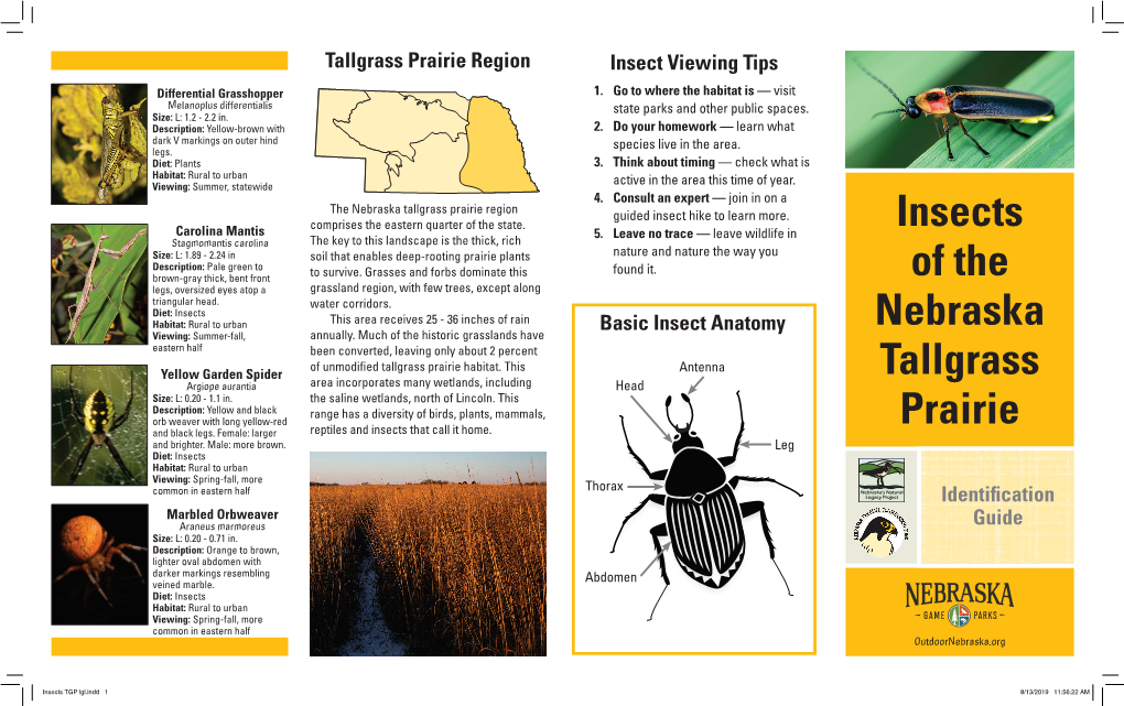 Insects of the Nebraska Tallgrass Prairie