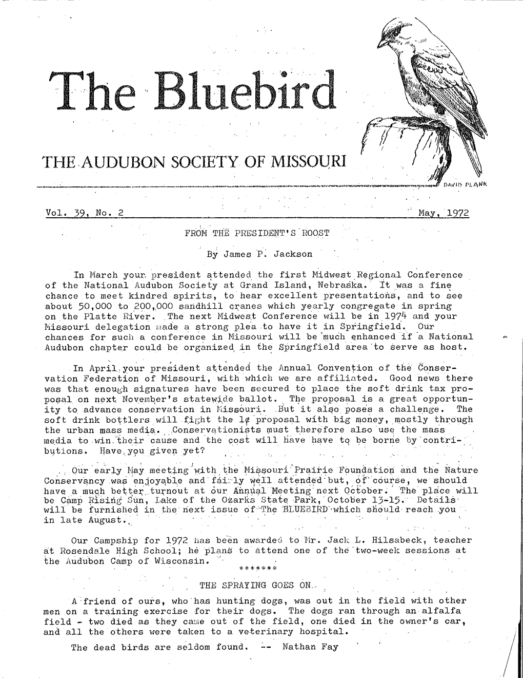 The Bluebird