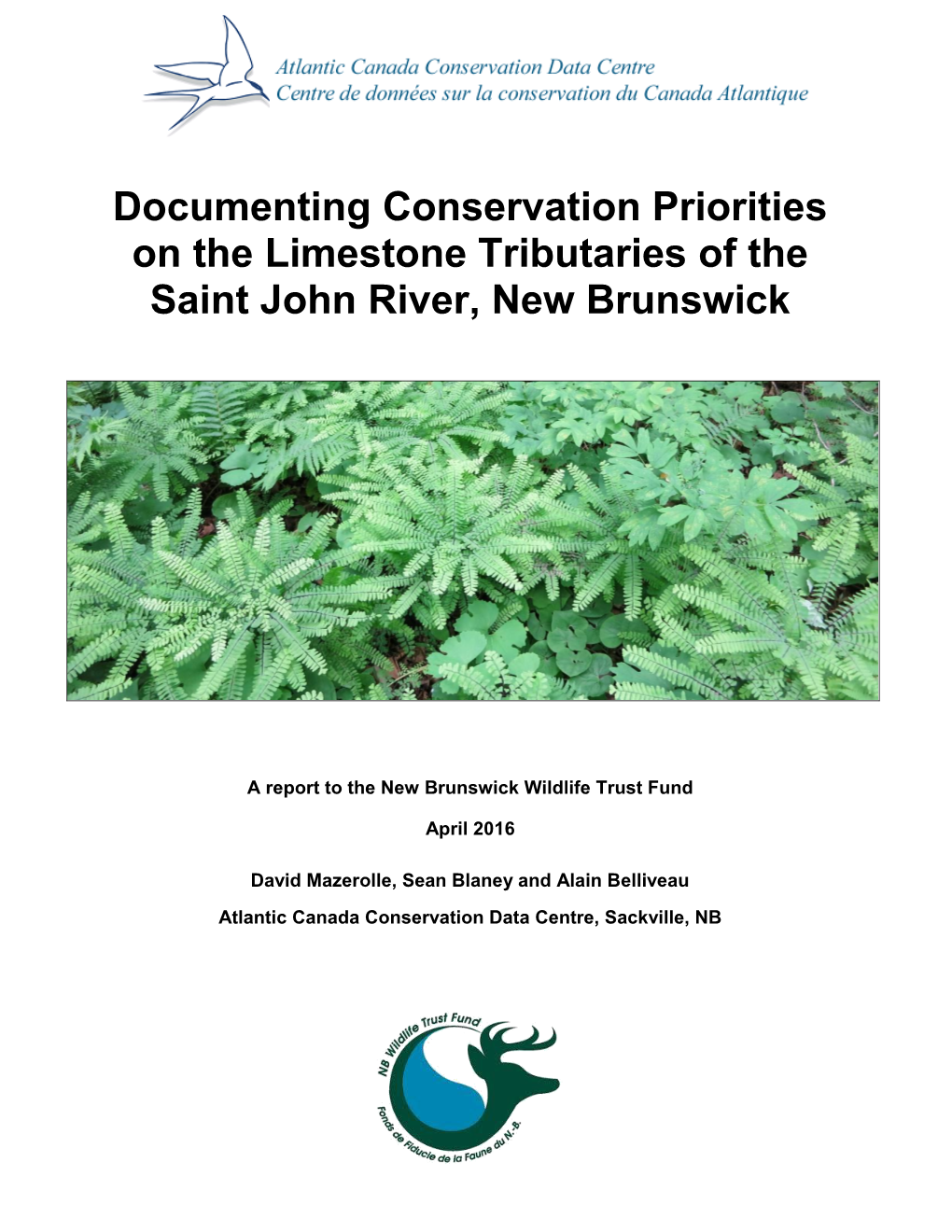 Documenting Conservation Priorities on the Limestone Tributaries of the Saint John River, New Brunswick