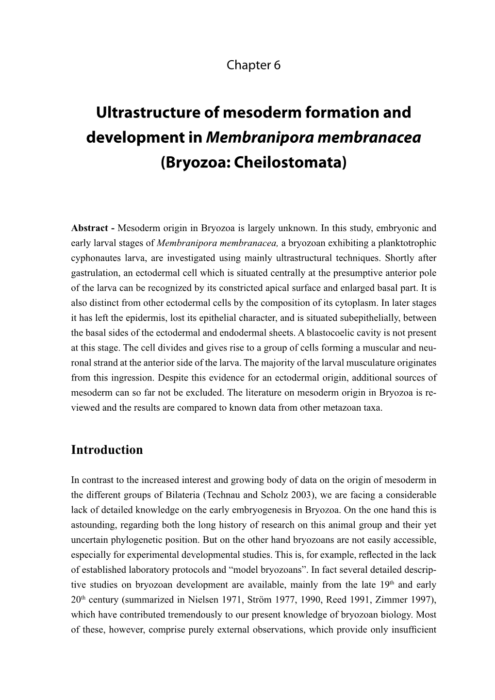Ultrastructure of Mesoderm Formation and Development in Membranipora Membranacea (Bryozoa: Cheilostomata)
