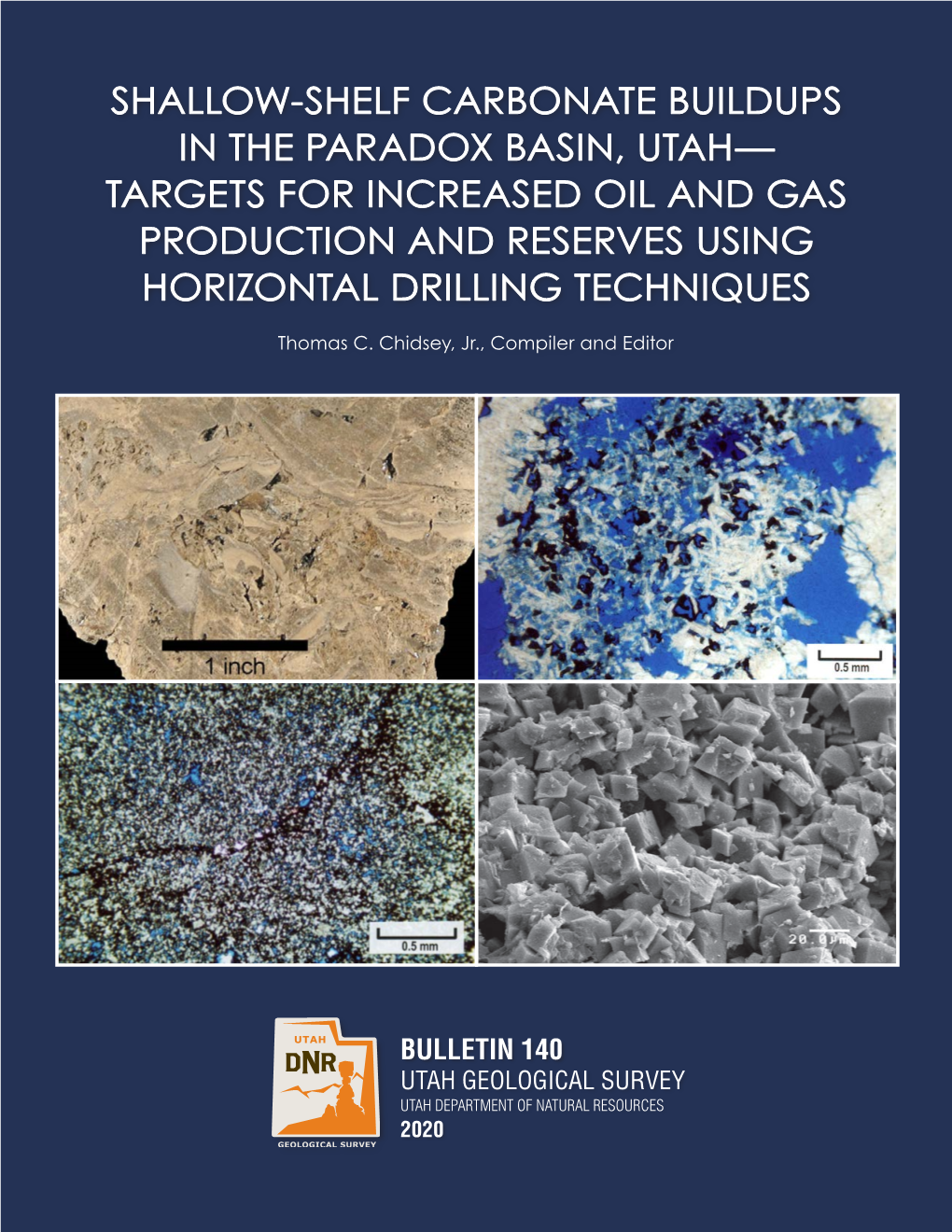 Shallow-Shelf Carbonate Buildups in the Paradox Basin, Utah— Targets for Increased Oil and Gas Production and Reserves Using Horizontal Drilling Techniques