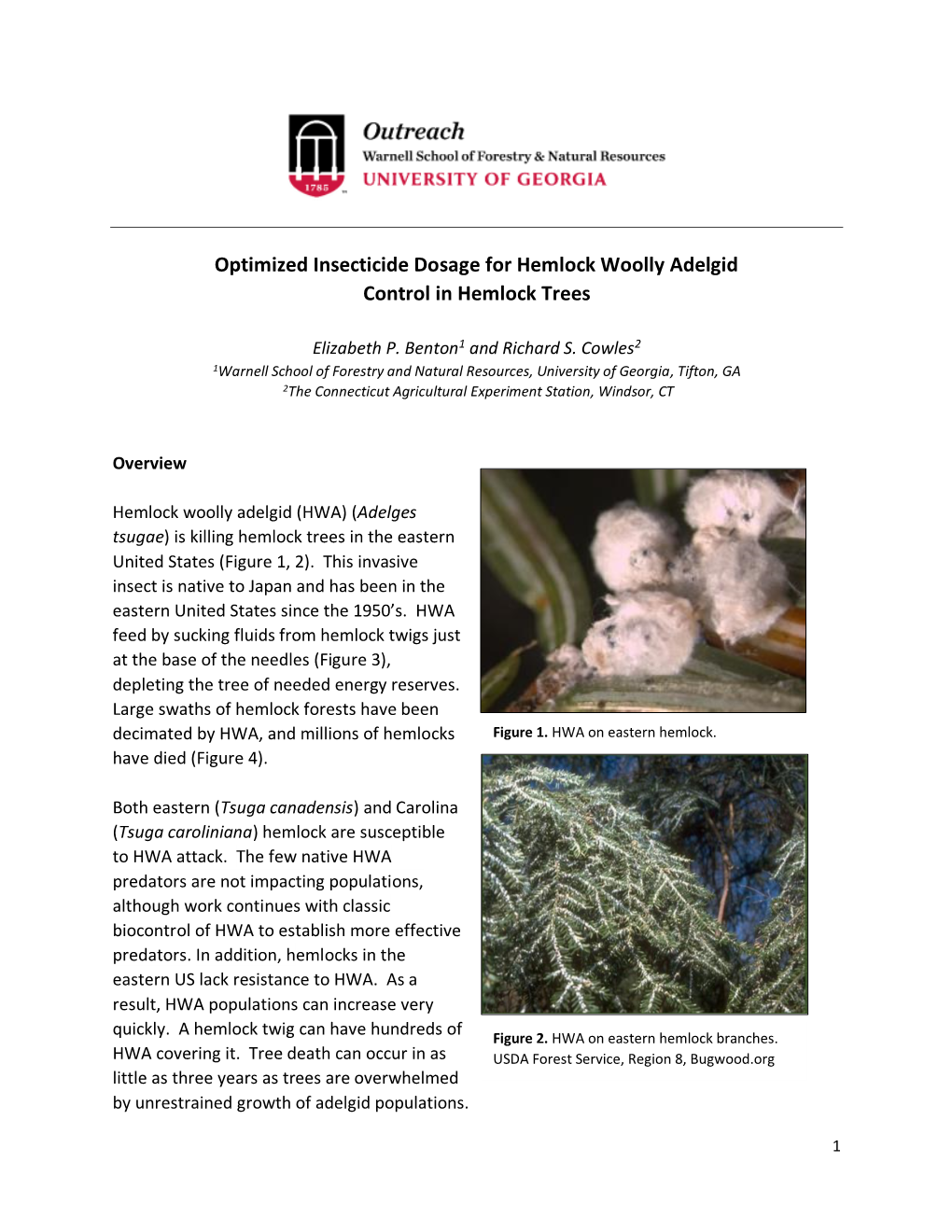 Optimized Insecticide Dosage for Hemlock Woolly Adelgid Control in Hemlock Trees