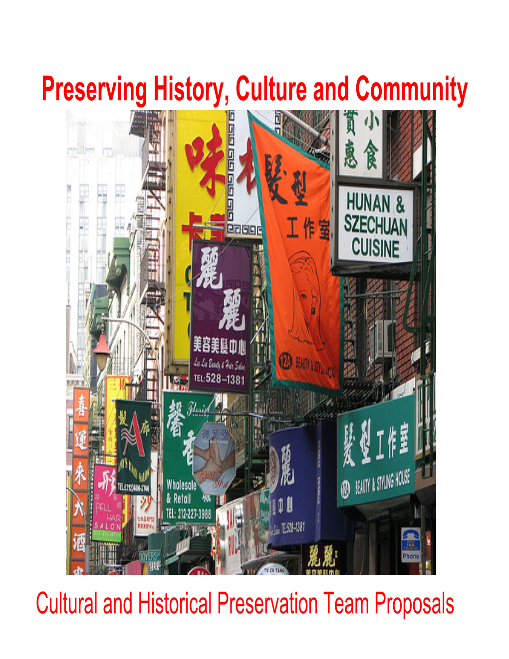 Culture and Preservation Proposal