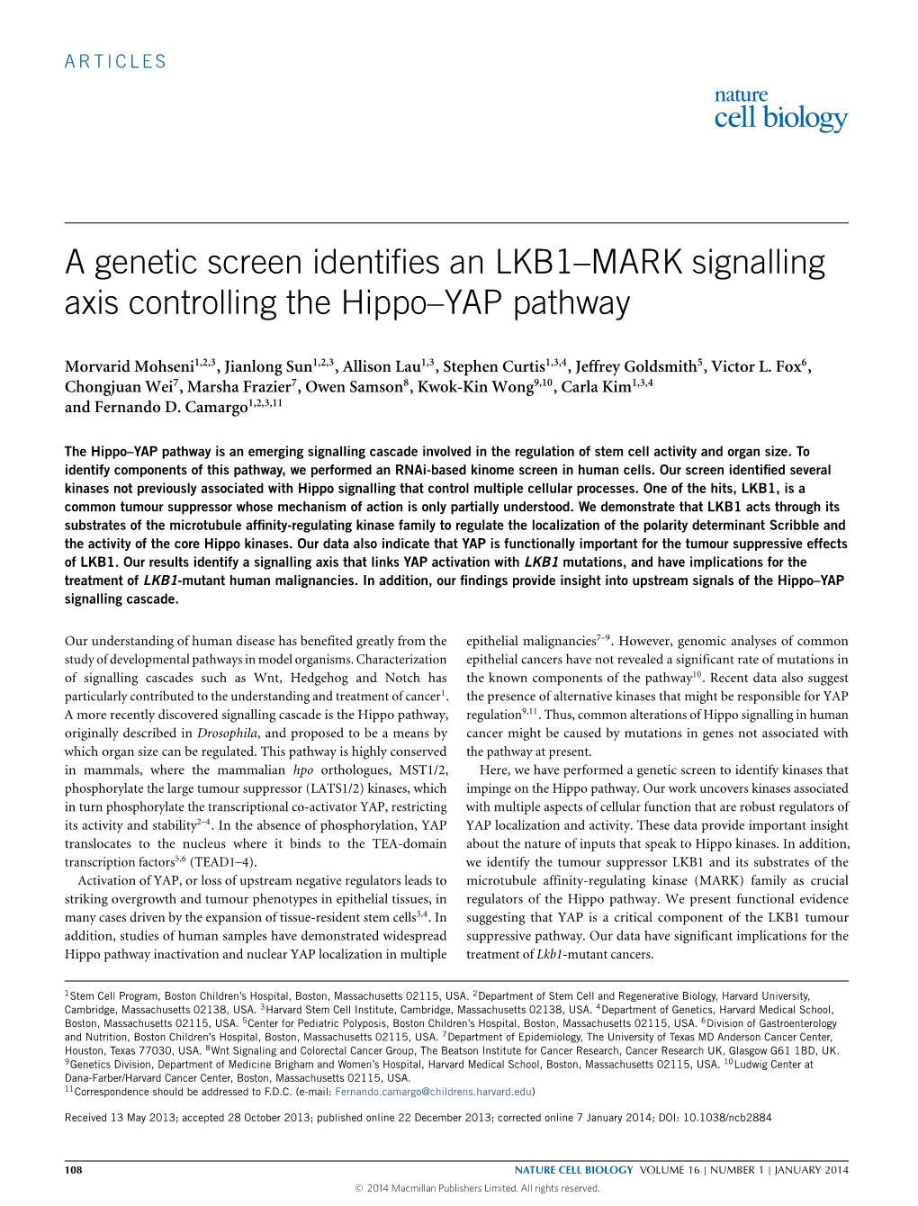 MARK Signalling Axis Controlling the Hippo--YAP Pathway