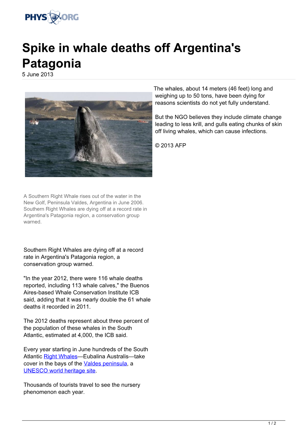 Spike in Whale Deaths Off Argentina's Patagonia 5 June 2013