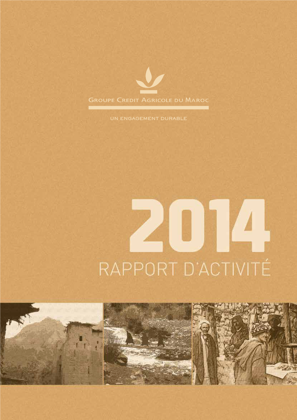 Fondation ARDI Rapport De Banque Universelle