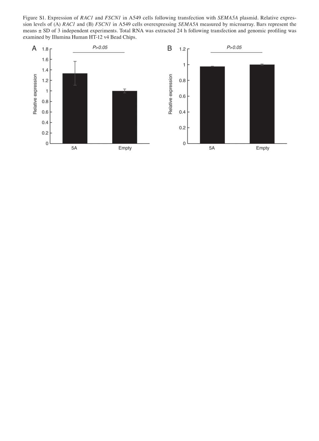 Figure S1. Expression of RAC1 and FSCN1 in A549 Cells Following Transfection with SEMA5A Plasmid