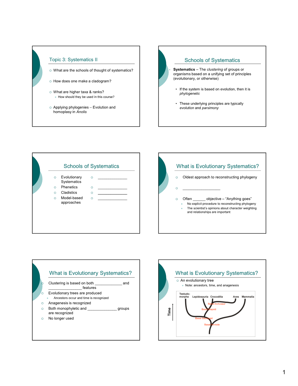 Schools of Systematics Schools of Systematics What Is Evolutionary