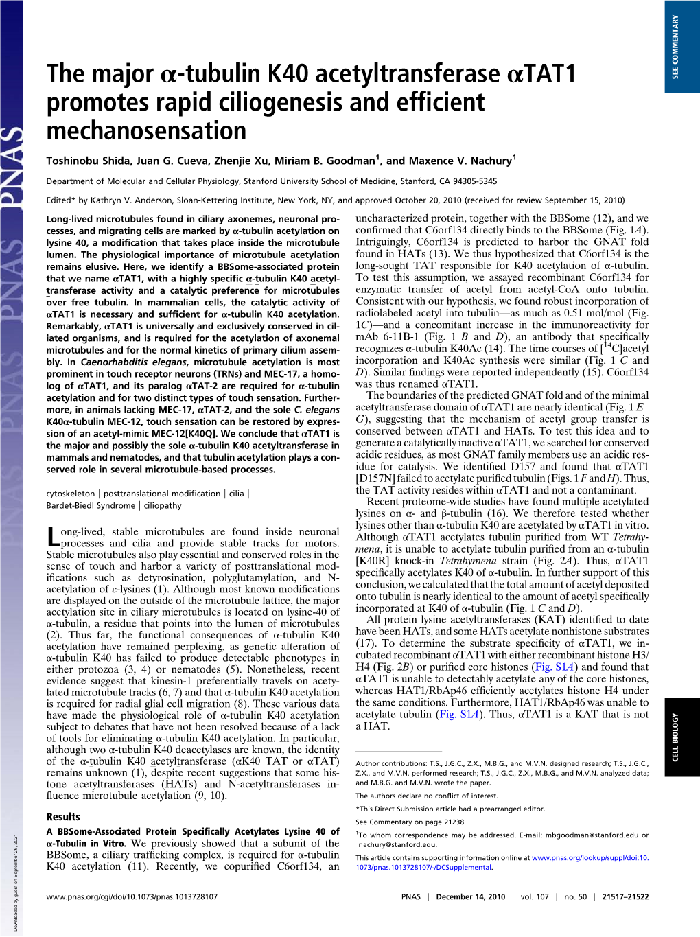 The Major Α-Tubulin K40 Acetyltransferase Αtat1 SEE COMMENTARY Promotes Rapid Ciliogenesis and Efﬁcient Mechanosensation