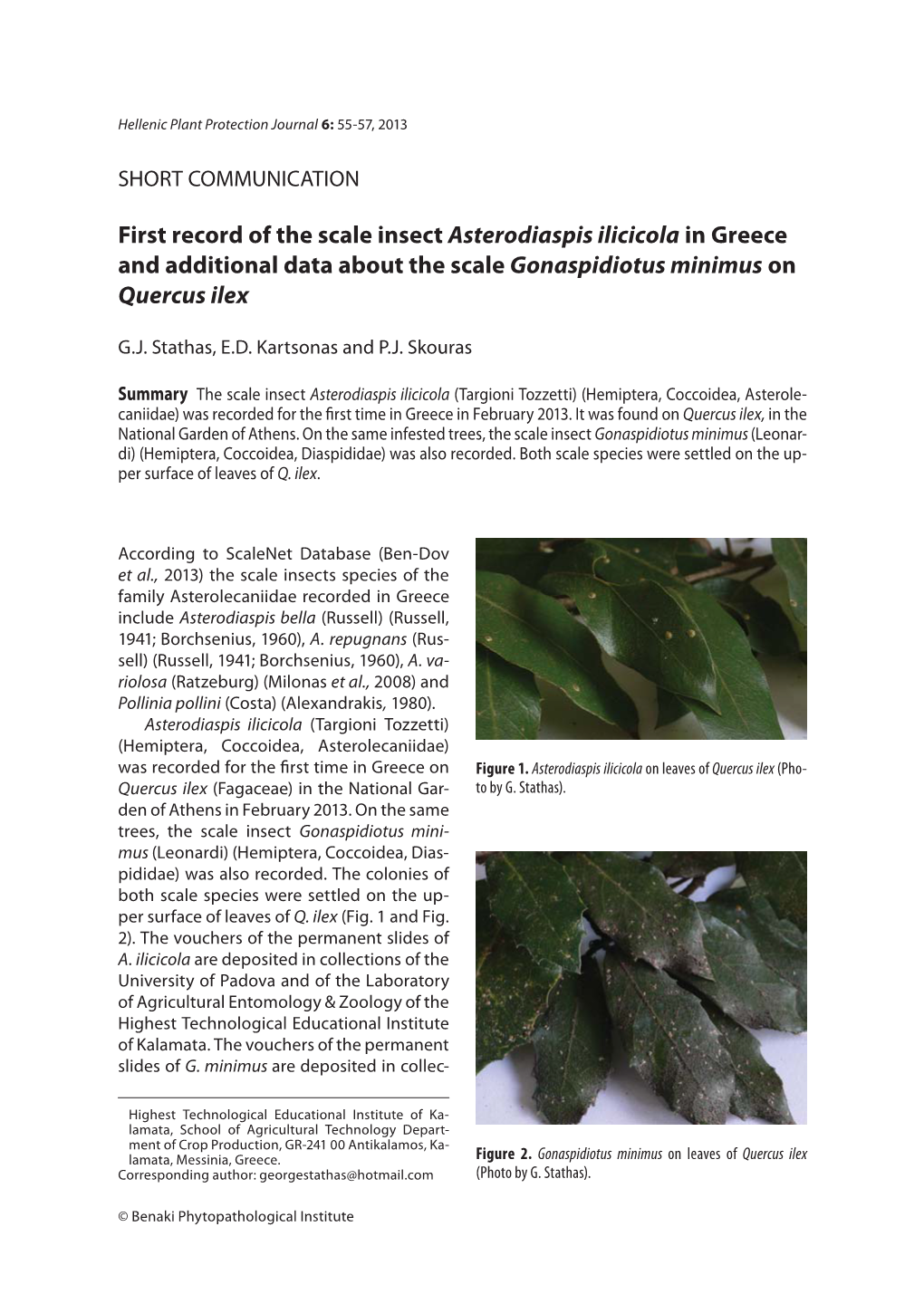 First Record of the Scale Insect Asterodiaspis Ilicicola in Greece and Additional Data About the Scale Gonaspidiotus Minimus on Quercus Ilex