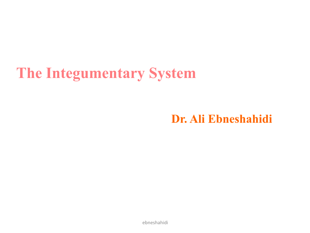 The Integumentary System