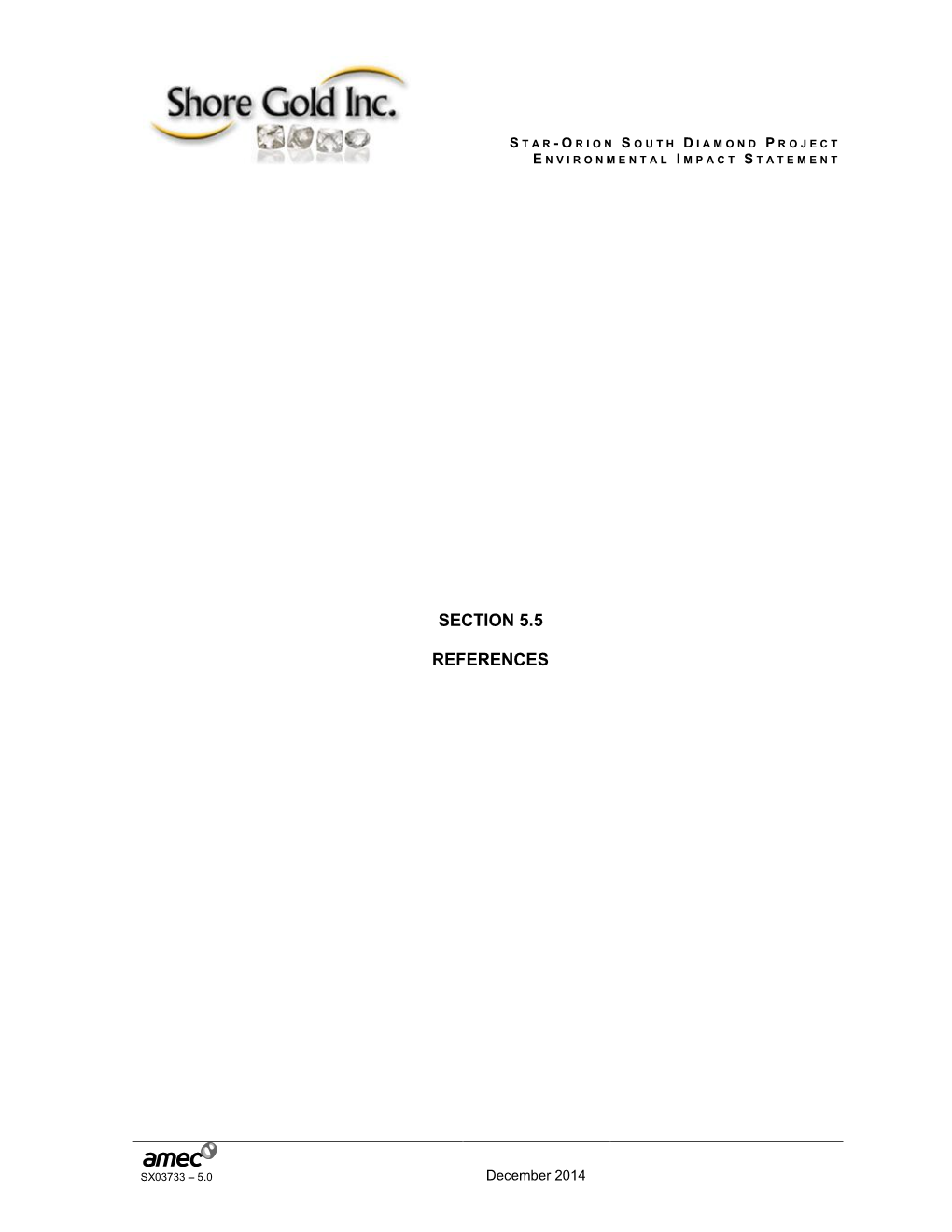 AMEC Report Template