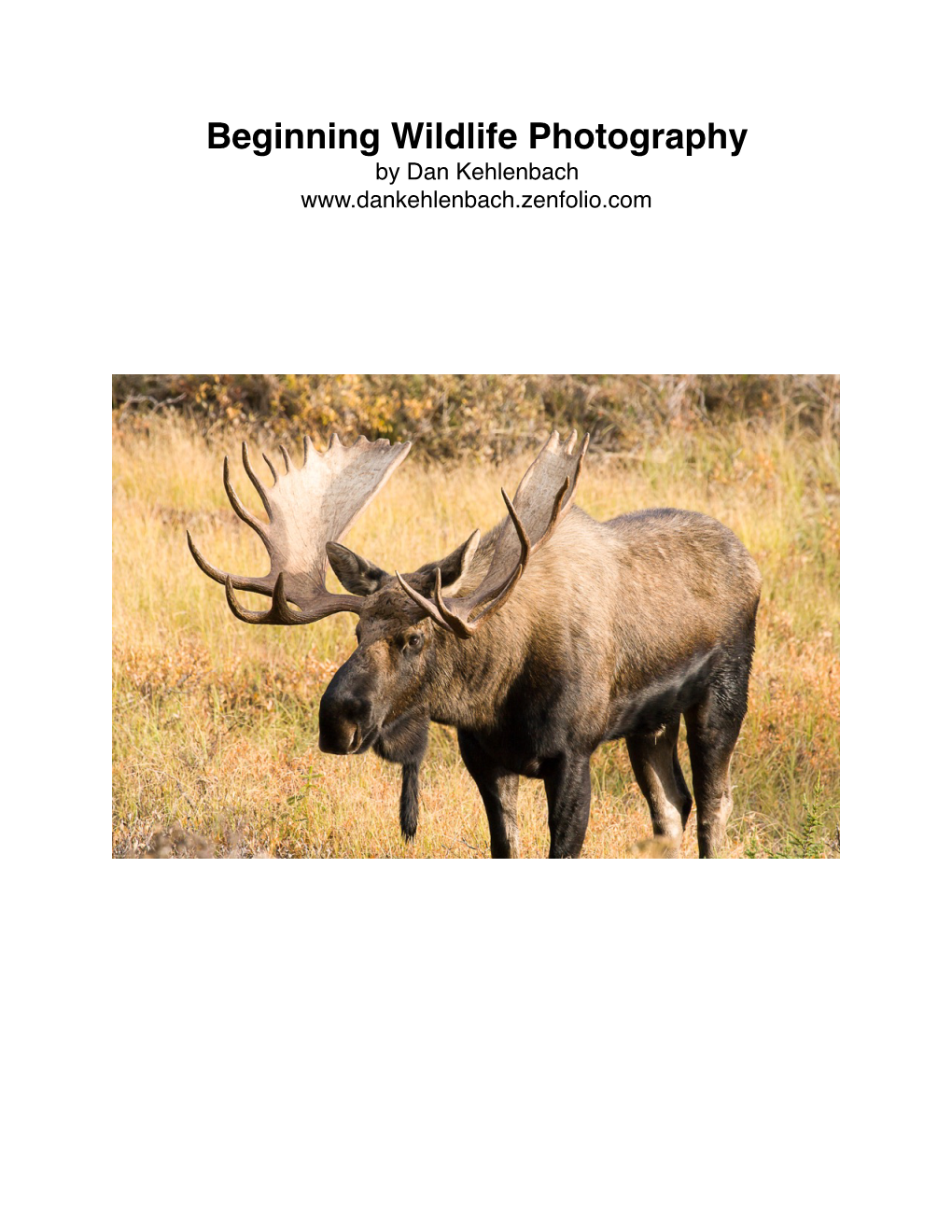 Beginning Wildlife Photography by Dan Kehlenbach Wildlife Photography