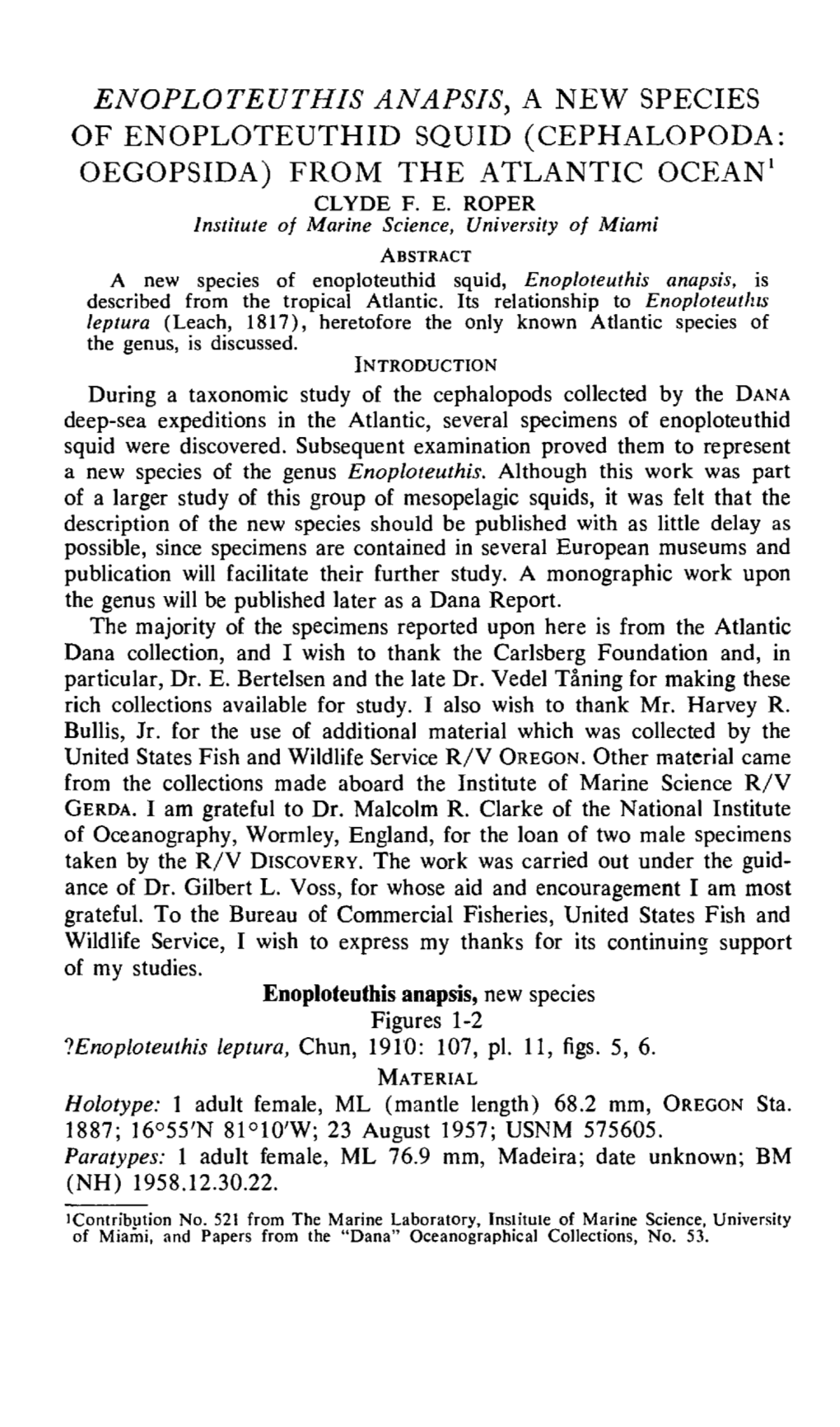 A New Species of Enoploteuthid Squid (Cephalopoda: Oegopsida) from the Atlantic Ocean1 Clyde F