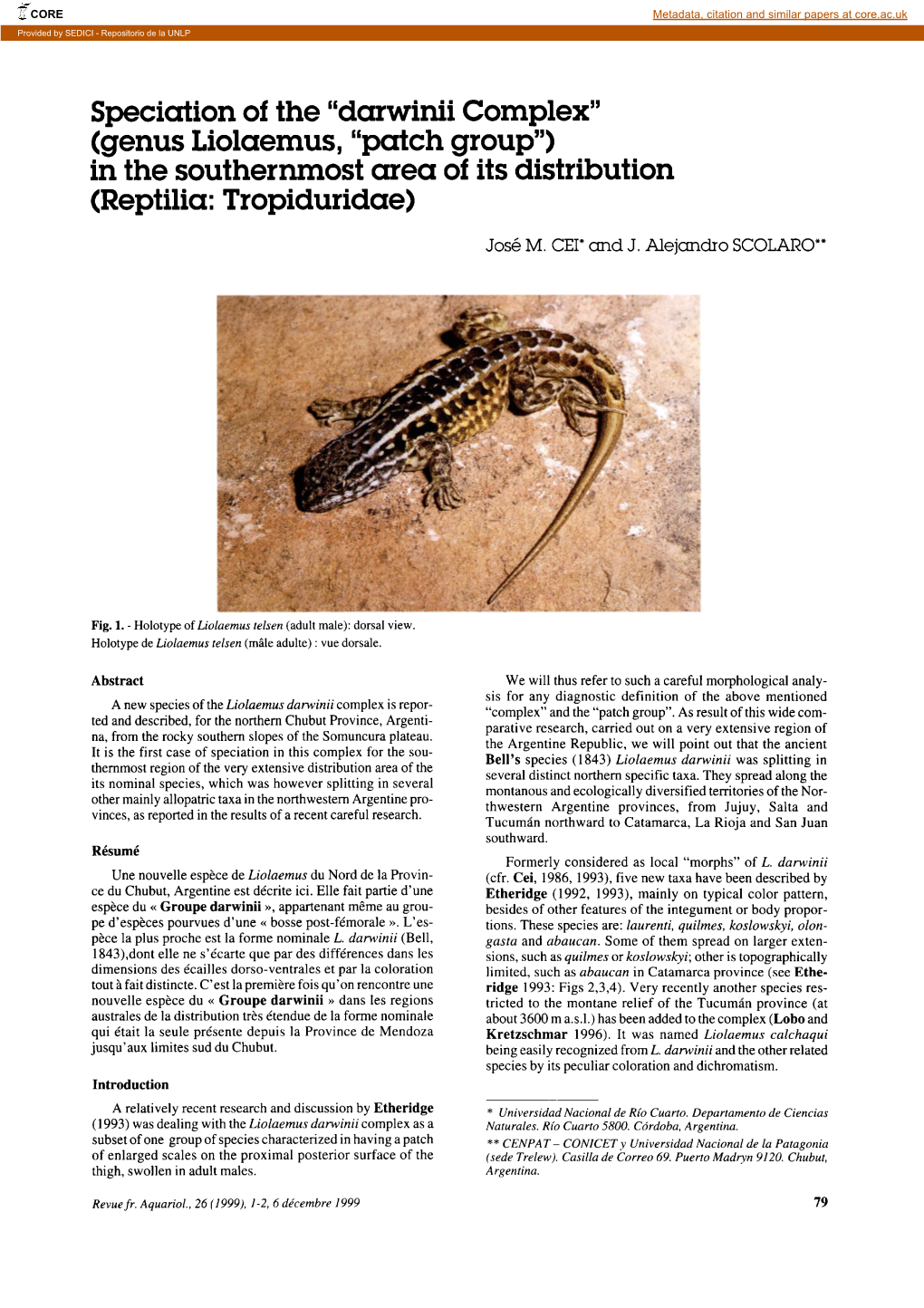 Darwinii Complex” (Genus Liolaemus, “Patch Group”) in the Southernmost Area Oí Its Distribution (Reptilia: Tropiduridae)