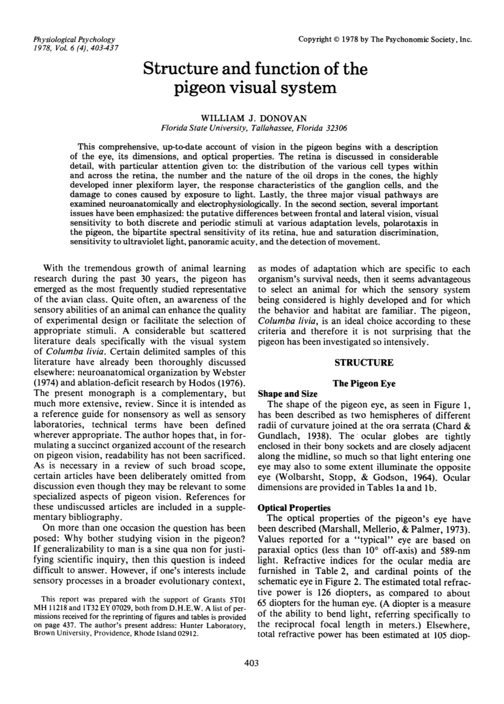 Structure and Function of the Pigeon Visual System