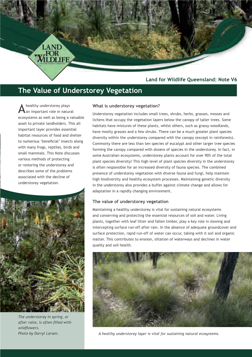 The Value of Understorey Vegetation