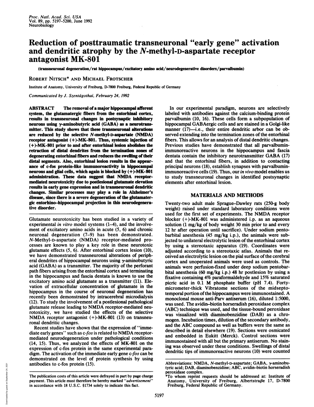 And Dendritic Atrophy by the N-Methyl-D-Aspartate Receptor