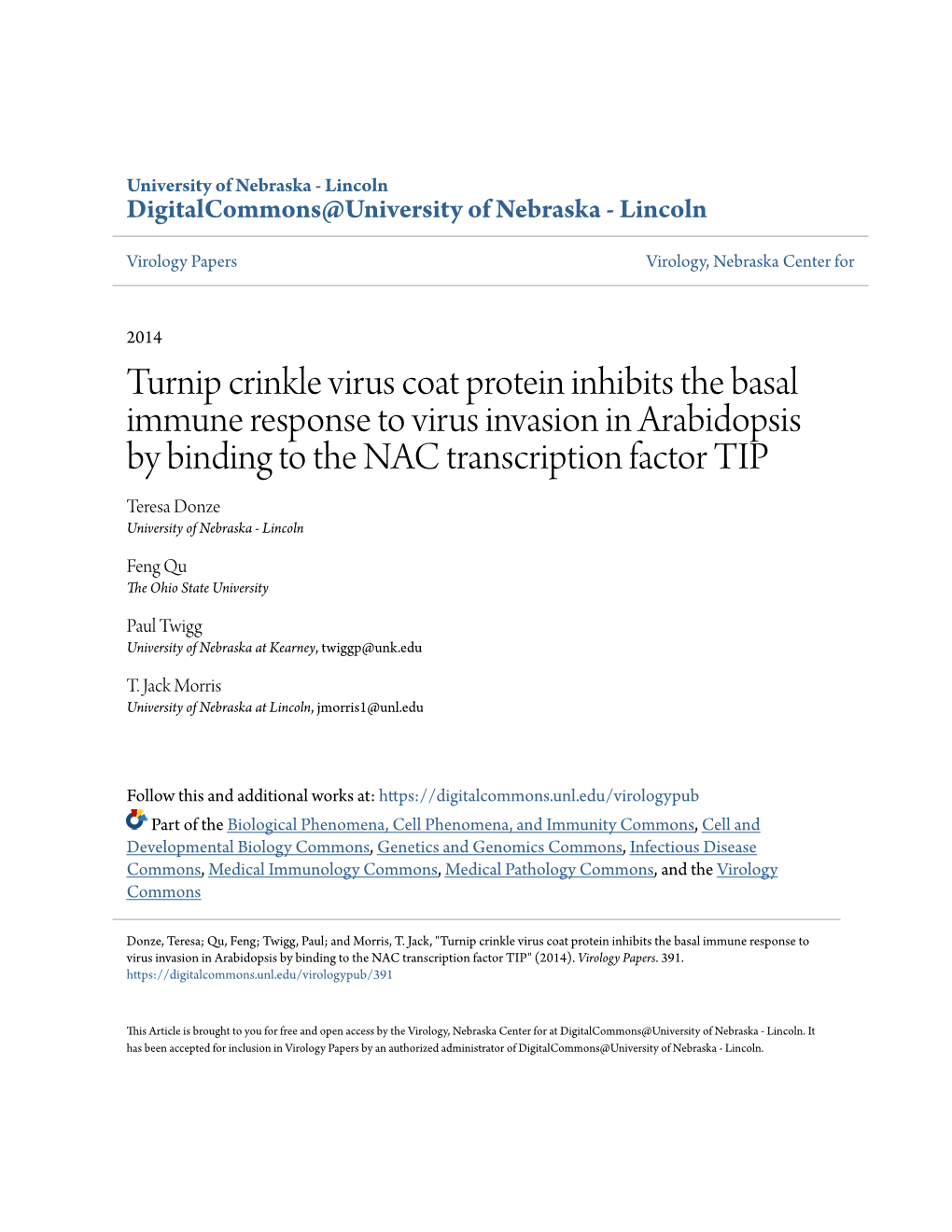 Turnip Crinkle Virus Coat Protein Inhibits the Basal Immune Response