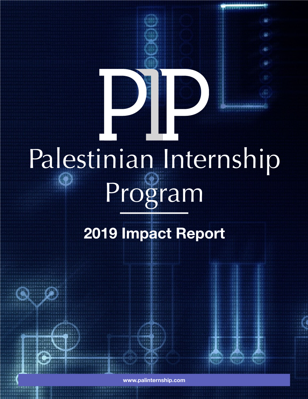 PIP Impact Report 2019