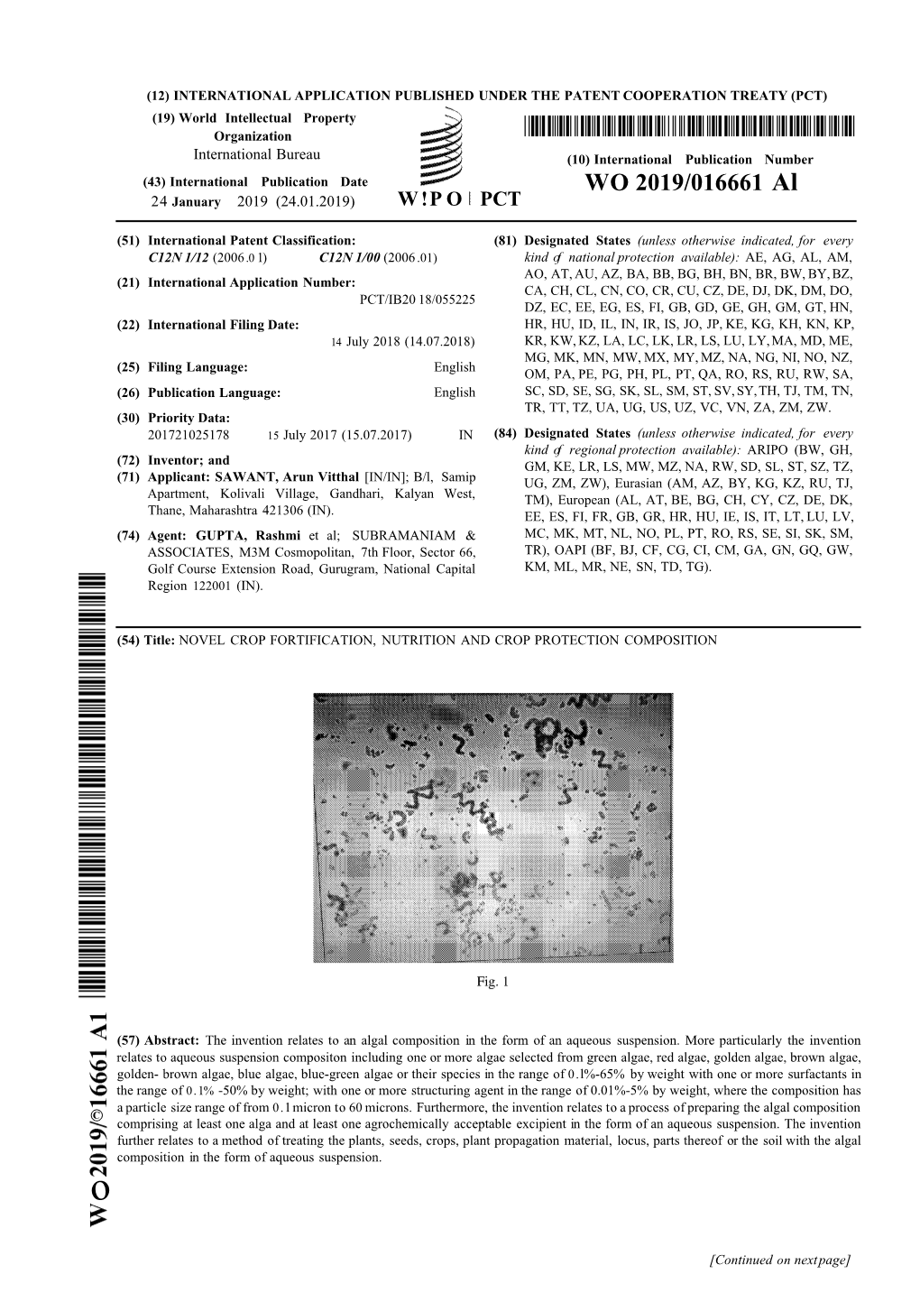 WO 2019/016661 Al 24 January 2019 (24.01.2019) W !P O PCT