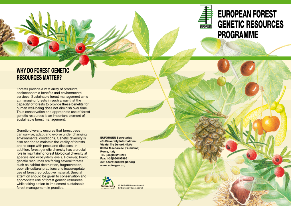 European Forest Genetic Resources Programme