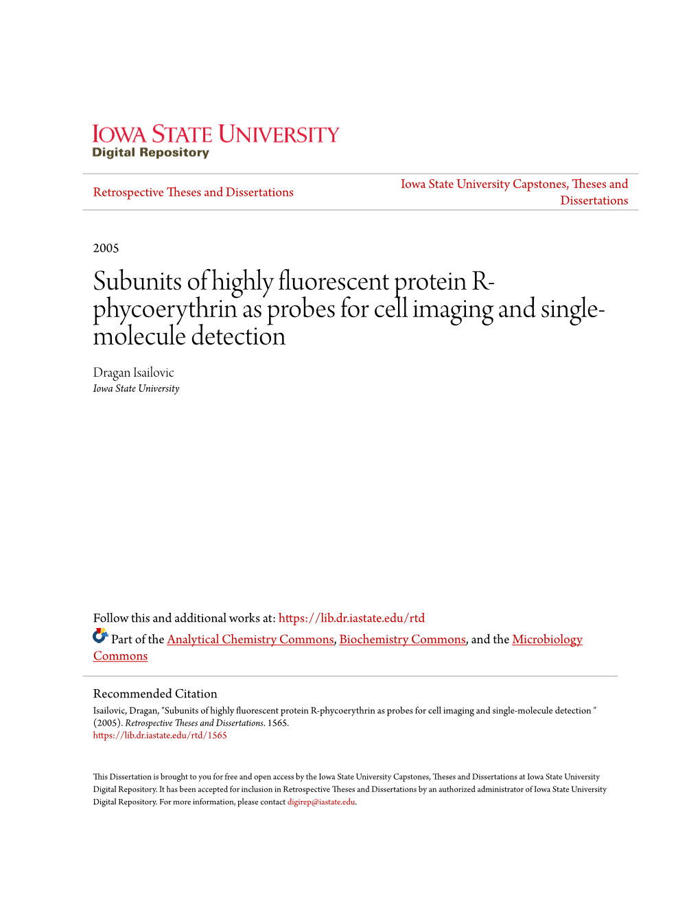 Subunits of Highly Fluorescent Protein R-Phycoerythrin As Probes for Cell Imaging and Single-Molecule Detection 