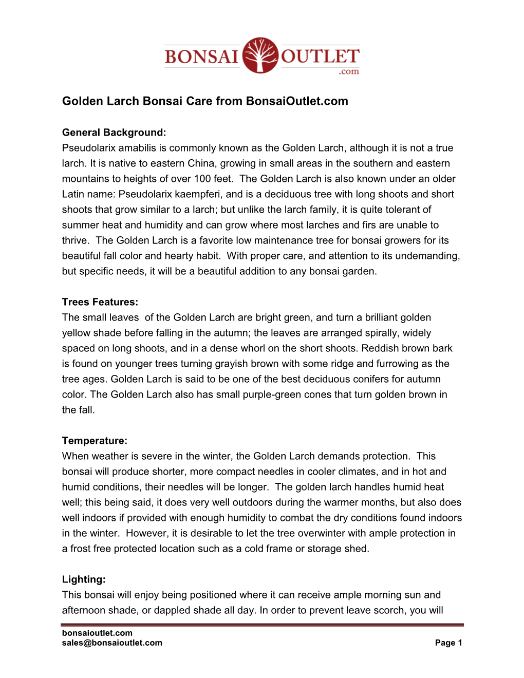 Golden Larch Bonsai Care from Bonsaioutlet.Com