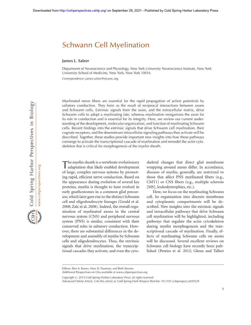 Schwann Cell Myelination